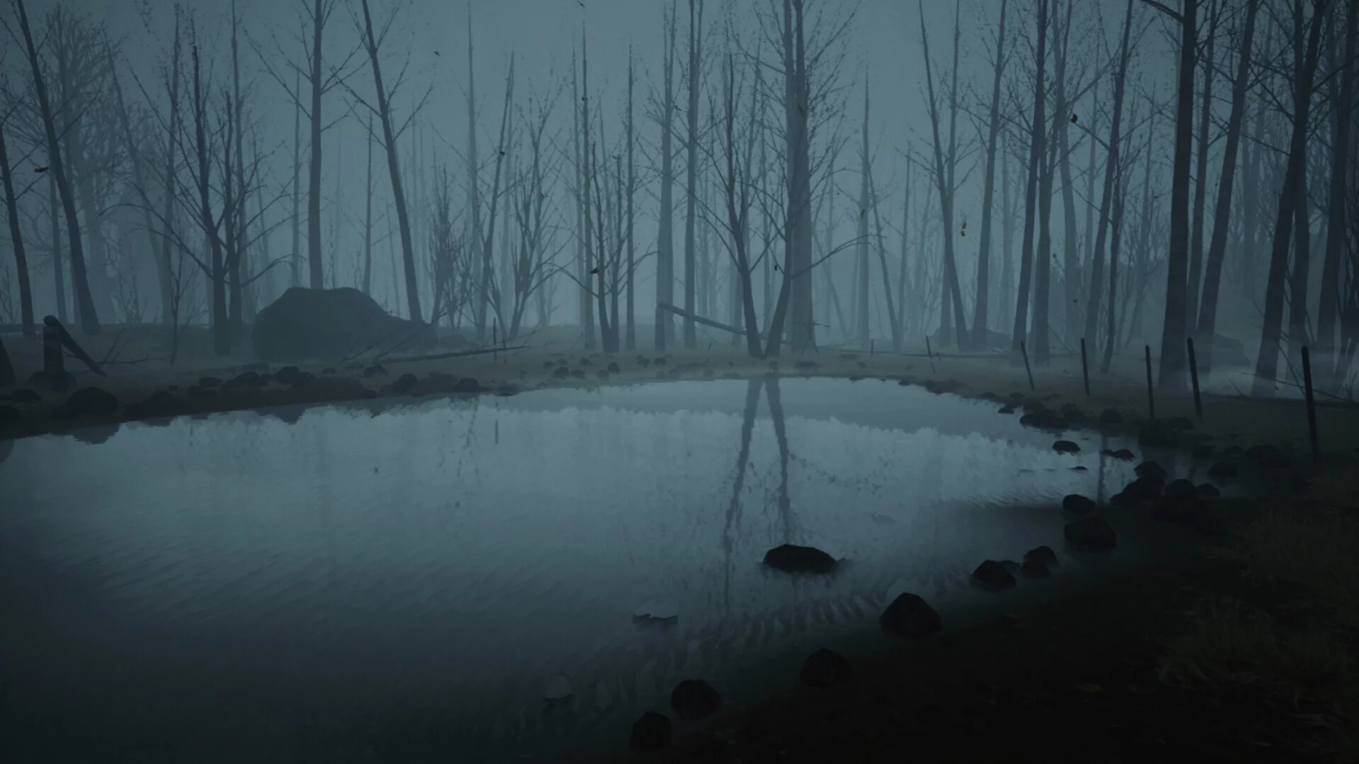 Изображение игры: Darkfield