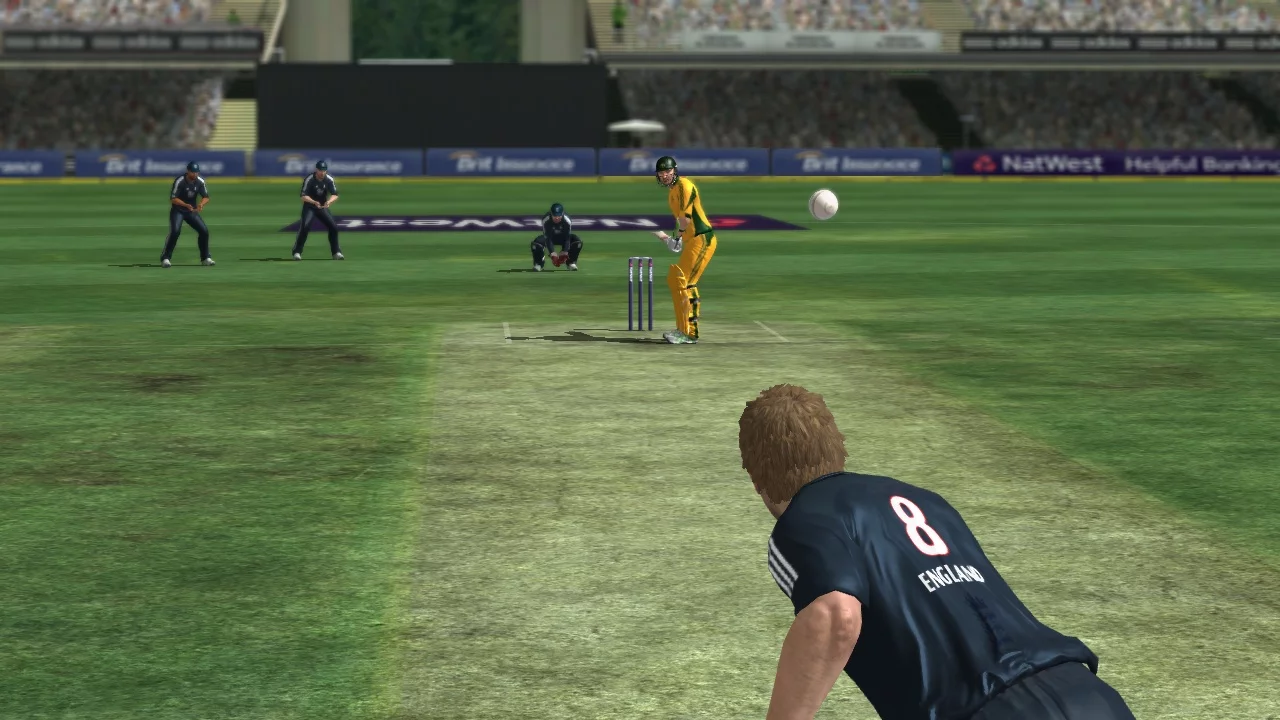 Изображение игры: International Cricket 2010