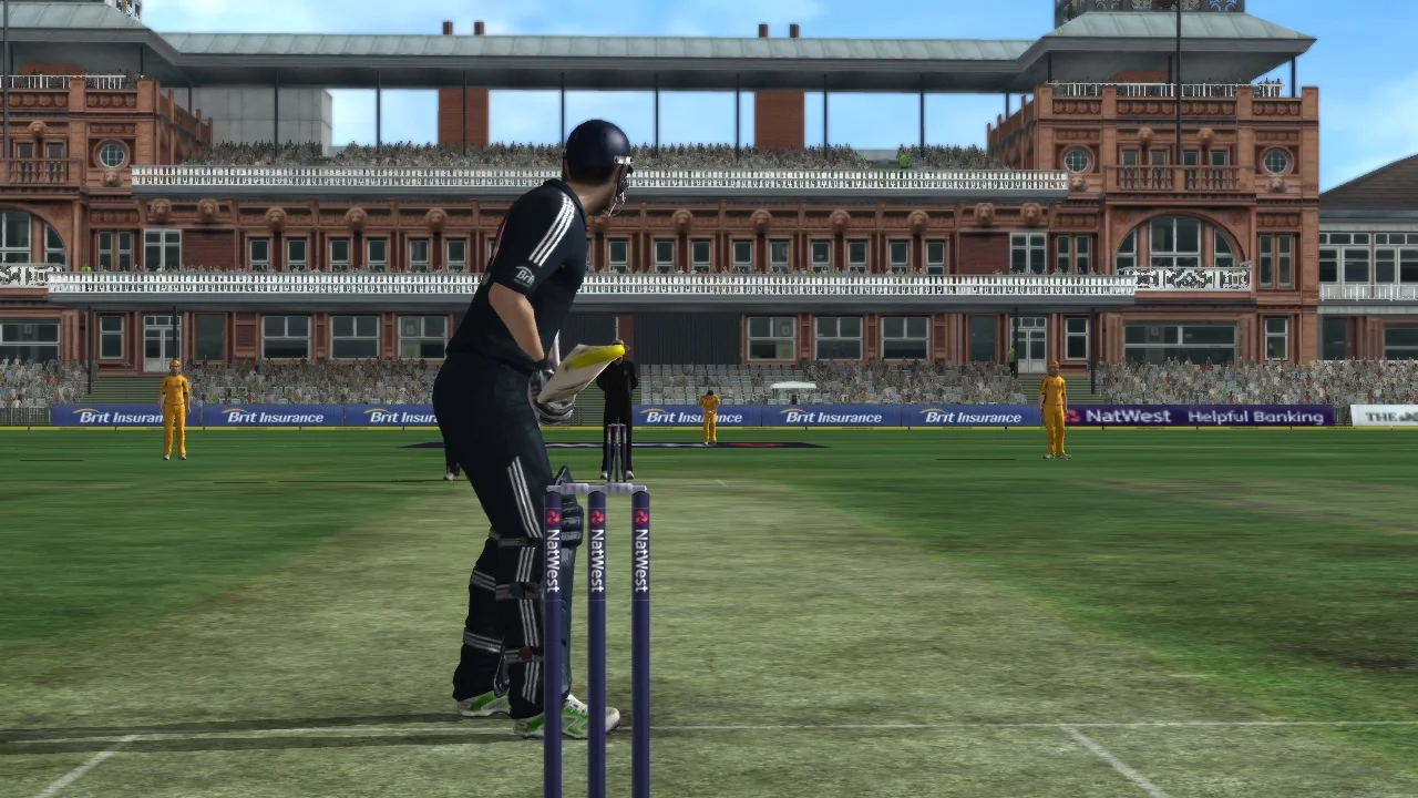 Изображение игры: International Cricket 2010