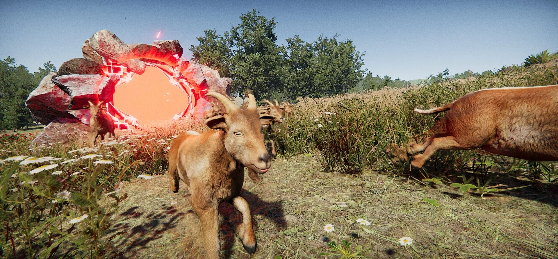 Изображение игры: Goat Massacre
