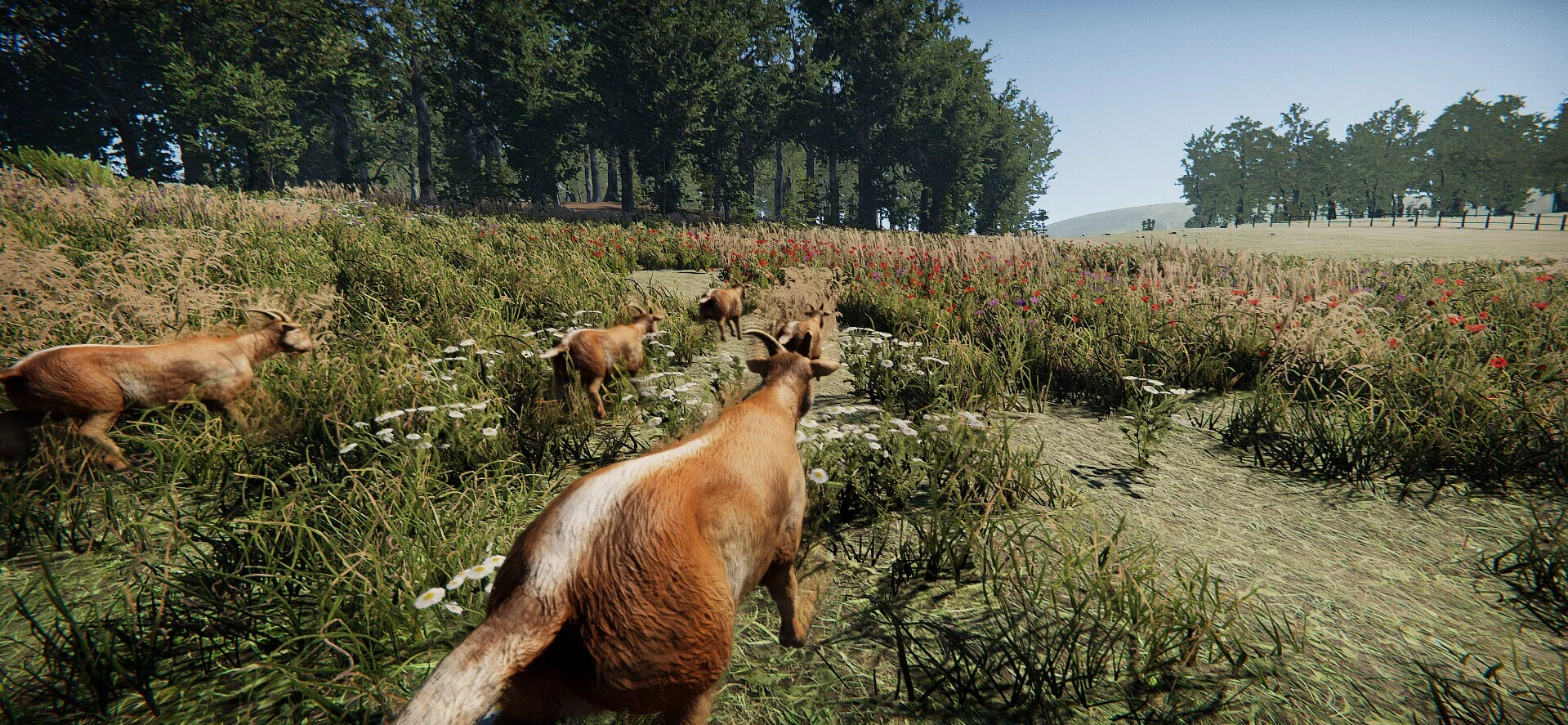 Изображение игры: Goat Massacre
