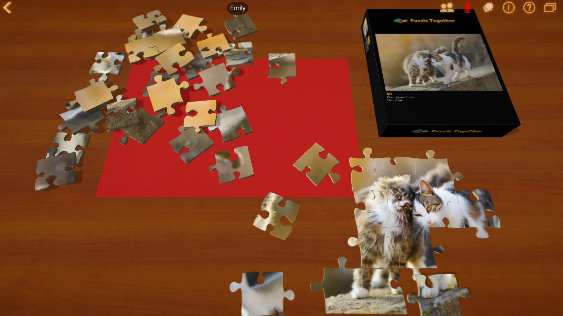 Изображение игры: Puzzle Together