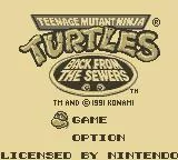 Изображение игры: Teenage Mutant Ninja Turtles II: Back from the Sewers