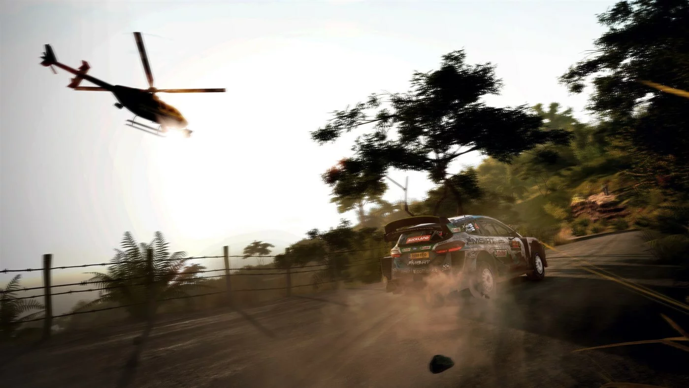 Изображение игры: WRC 9 FIA World Rally Championship