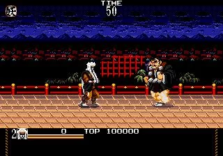 Изображение игры: Mystical Fighter