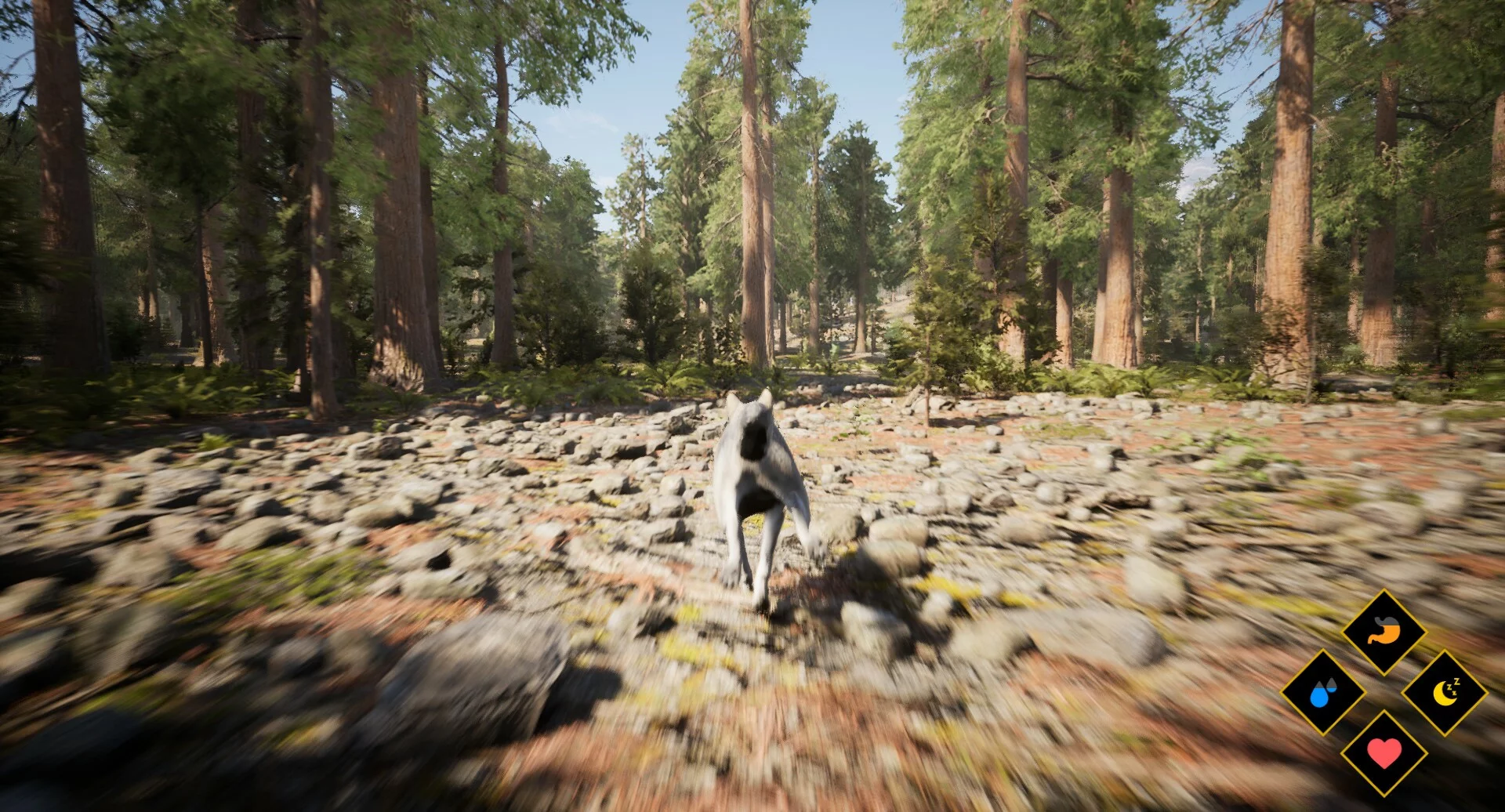 Изображение игры: Wilderness