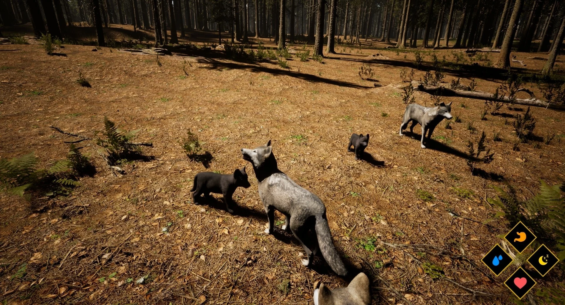 Изображение игры: Wilderness