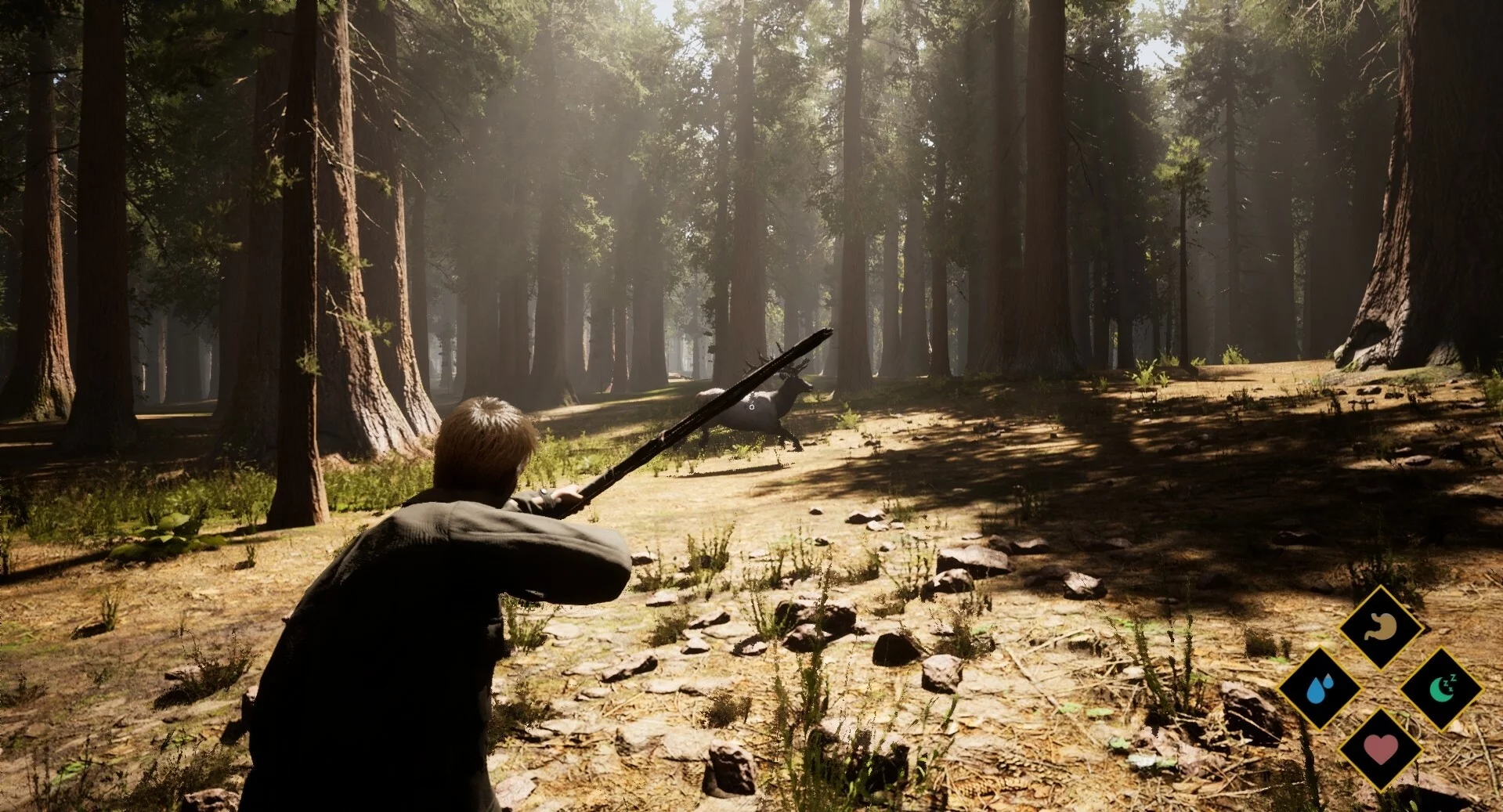 Изображение игры: Wilderness