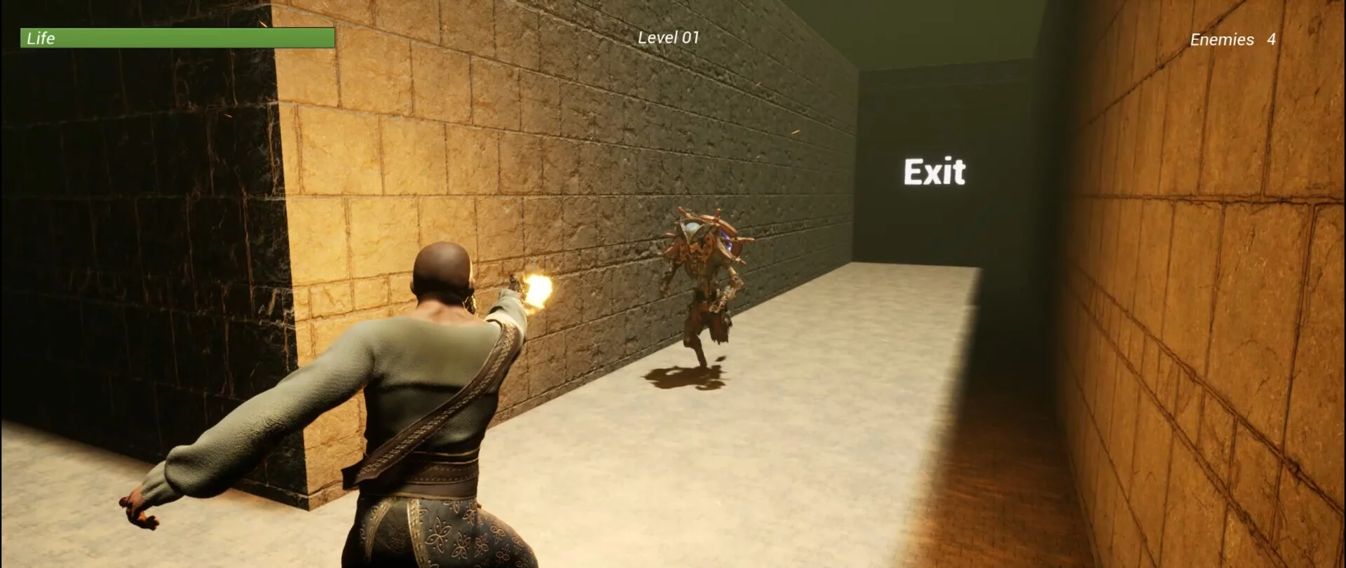 Изображение игры: Maze Of Shadows
