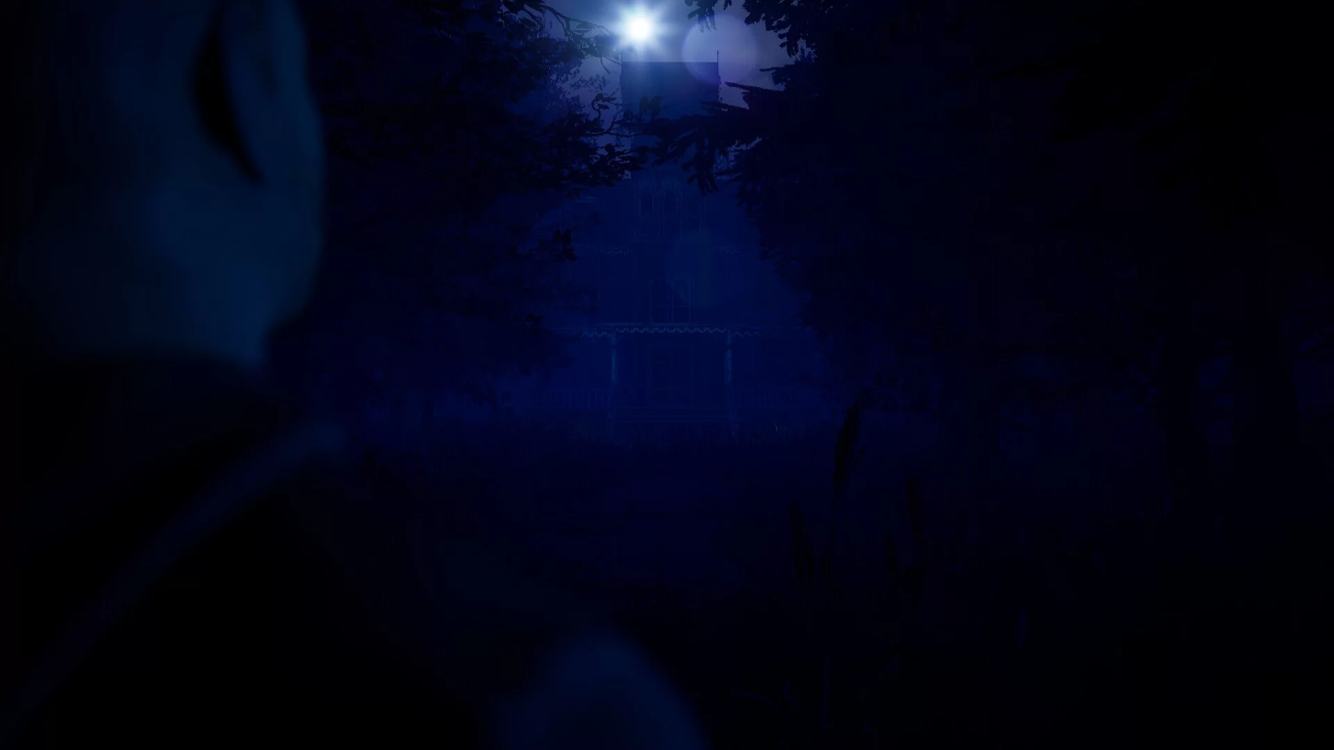 Изображение игры: Blue Light