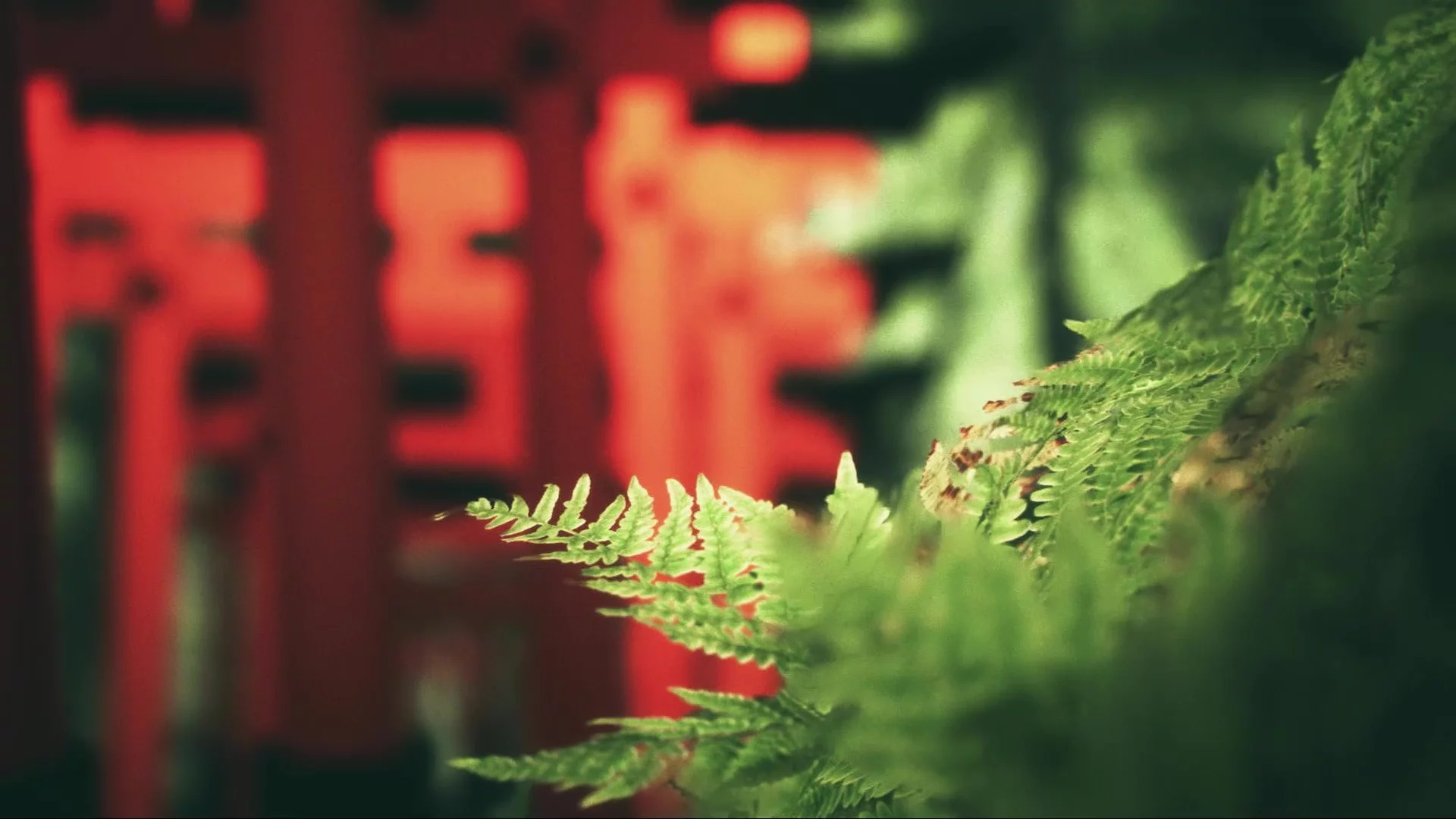 Изображение игры: Explore Fushimi Inari