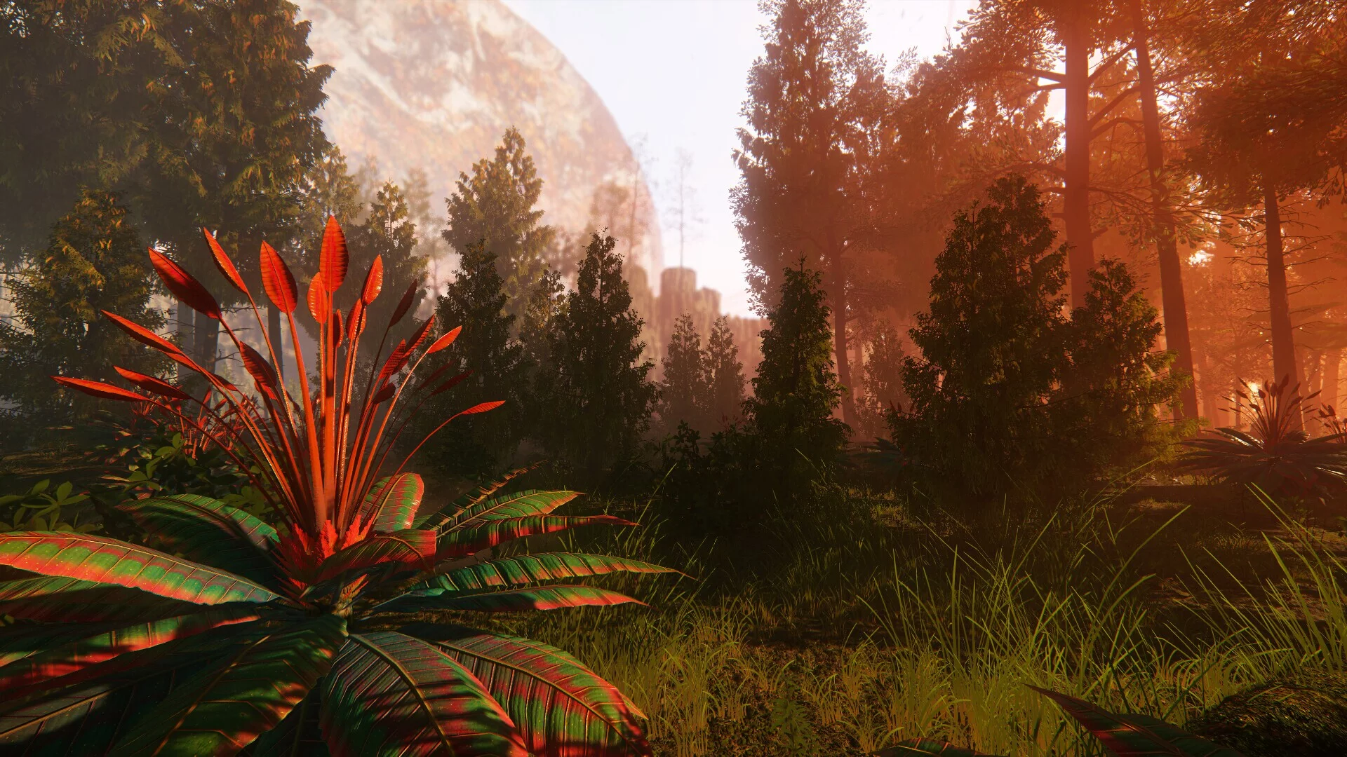 Изображение игры: Far Horizon