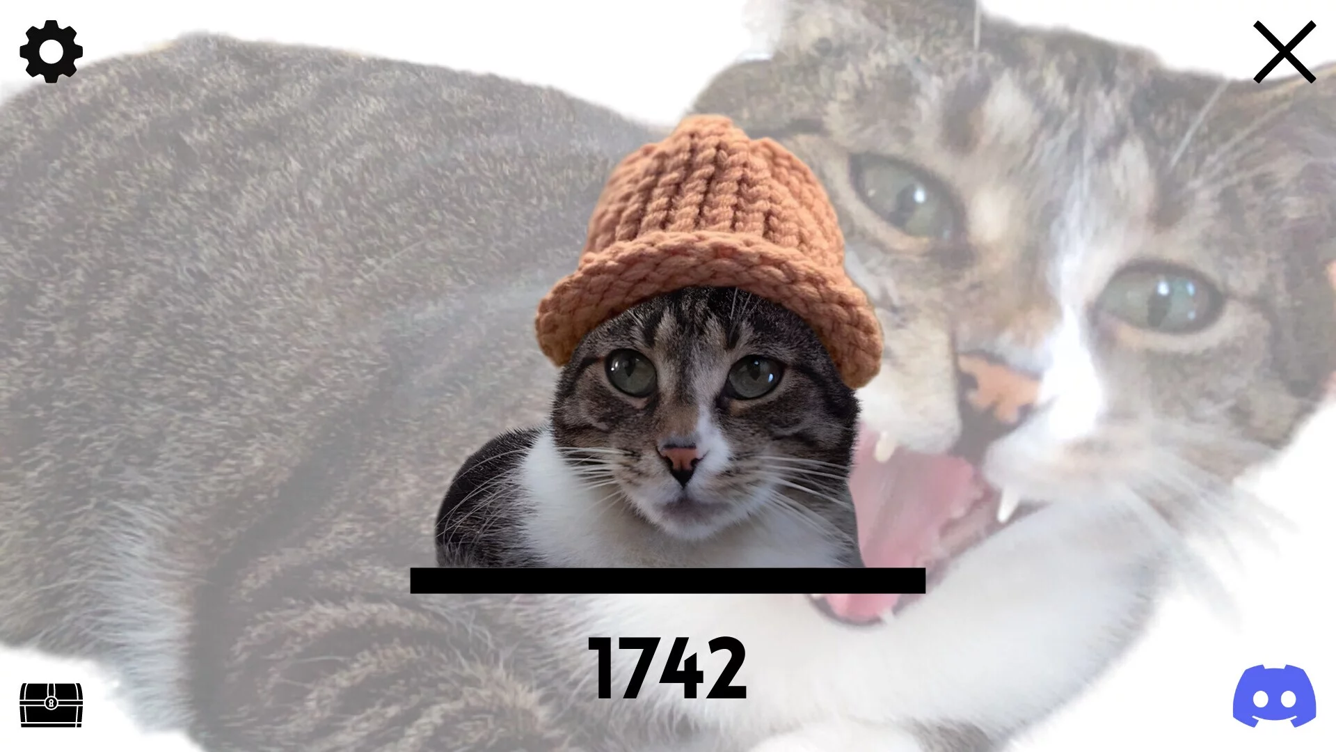 Изображение игры: Catwifhat