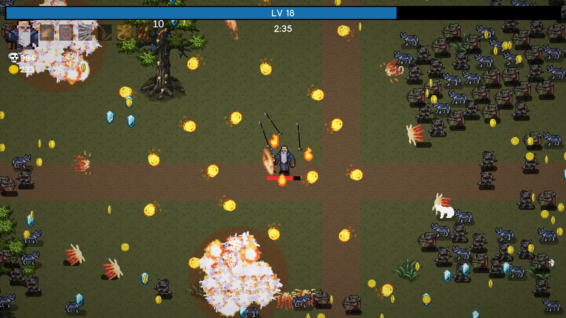 Изображение игры: Wizard Blaster