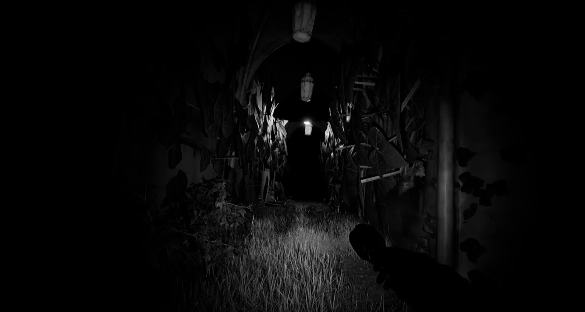 Изображение игры: FOREST GOD