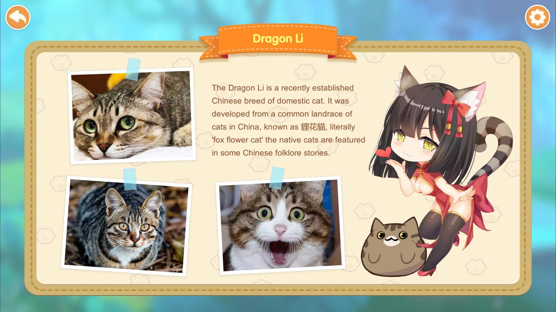 Изображение игры: Miss Neko 2