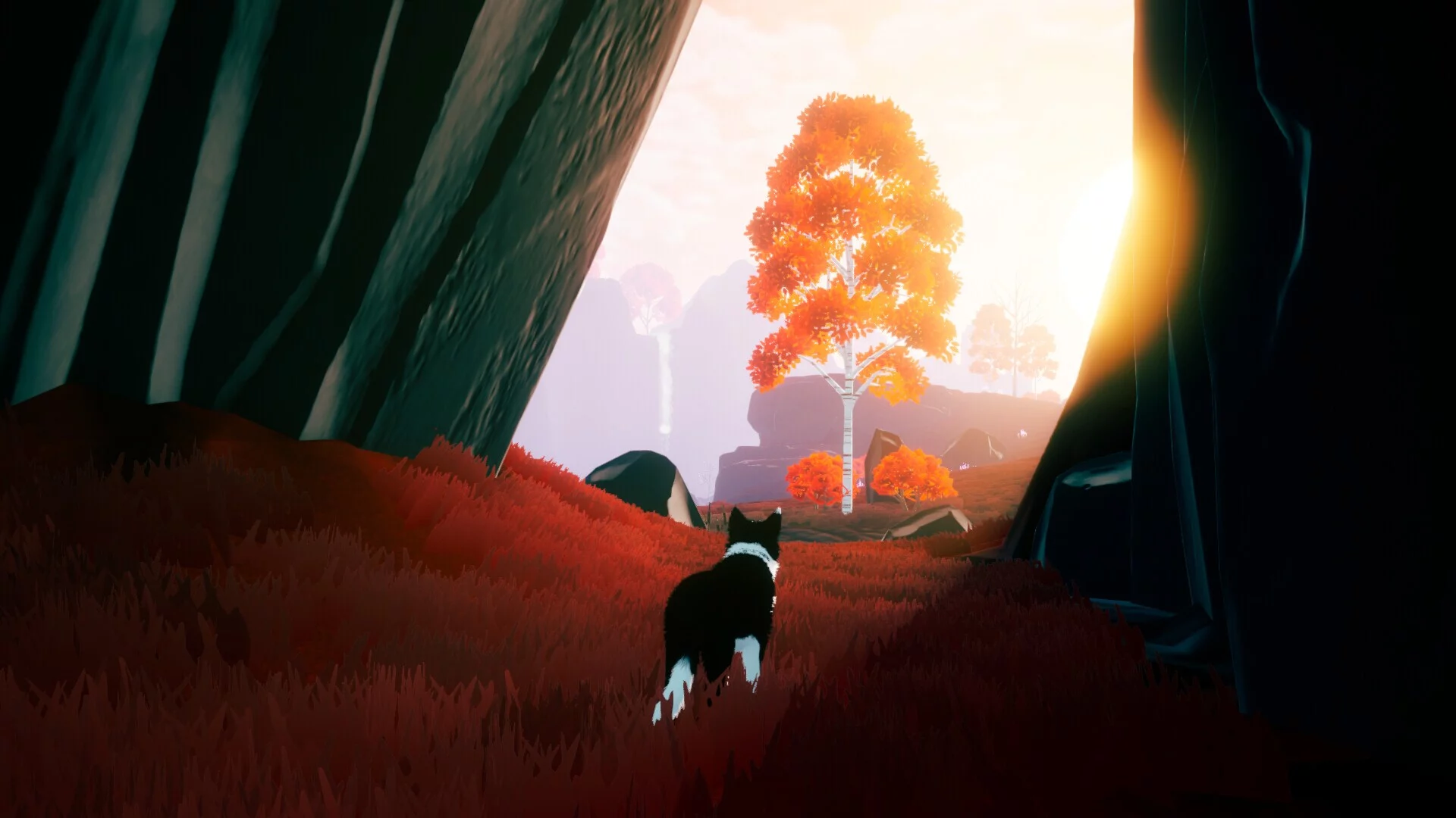 Изображение игры: Farewell North