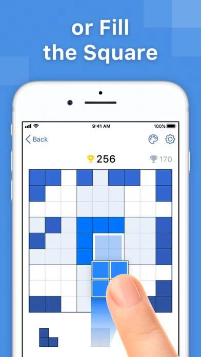 Изображение игры: BlockuDoku - Block Puzzle