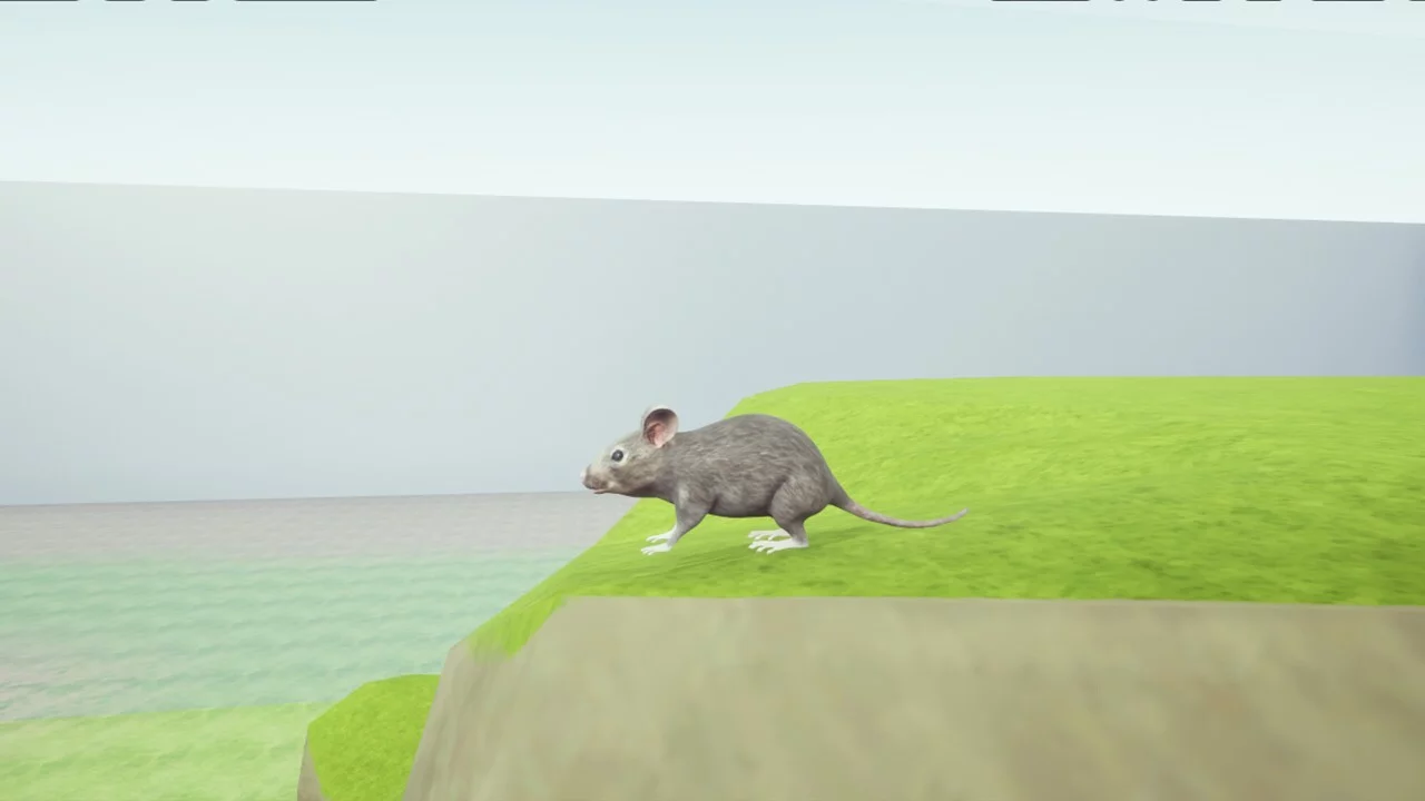 Изображение игры: RAT MEMORY