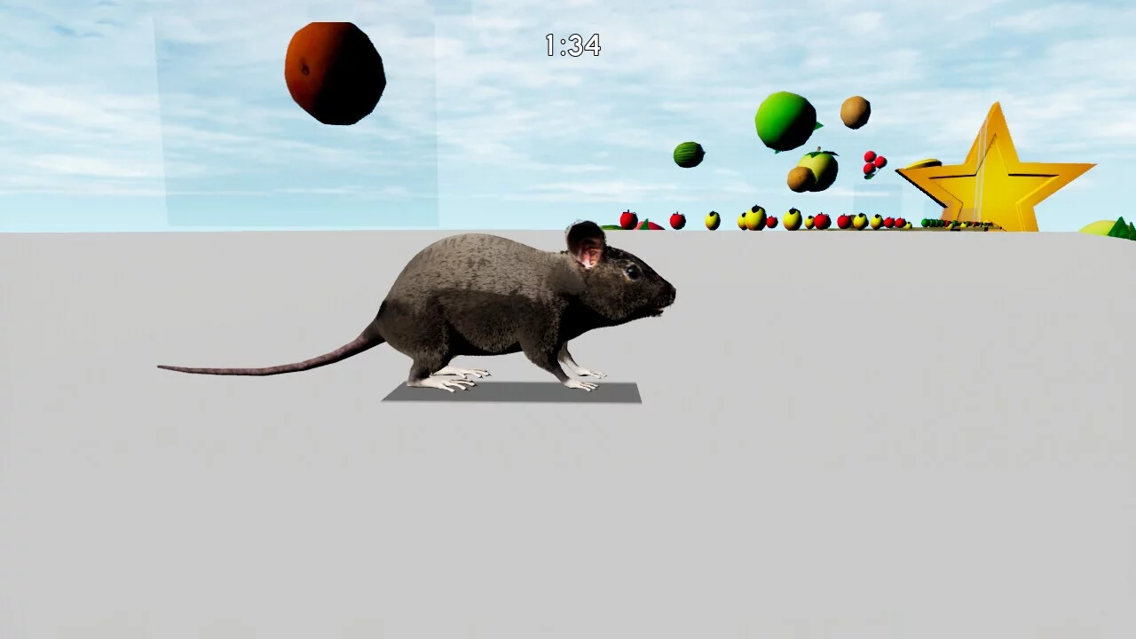 Изображение игры: RAT MEMORY