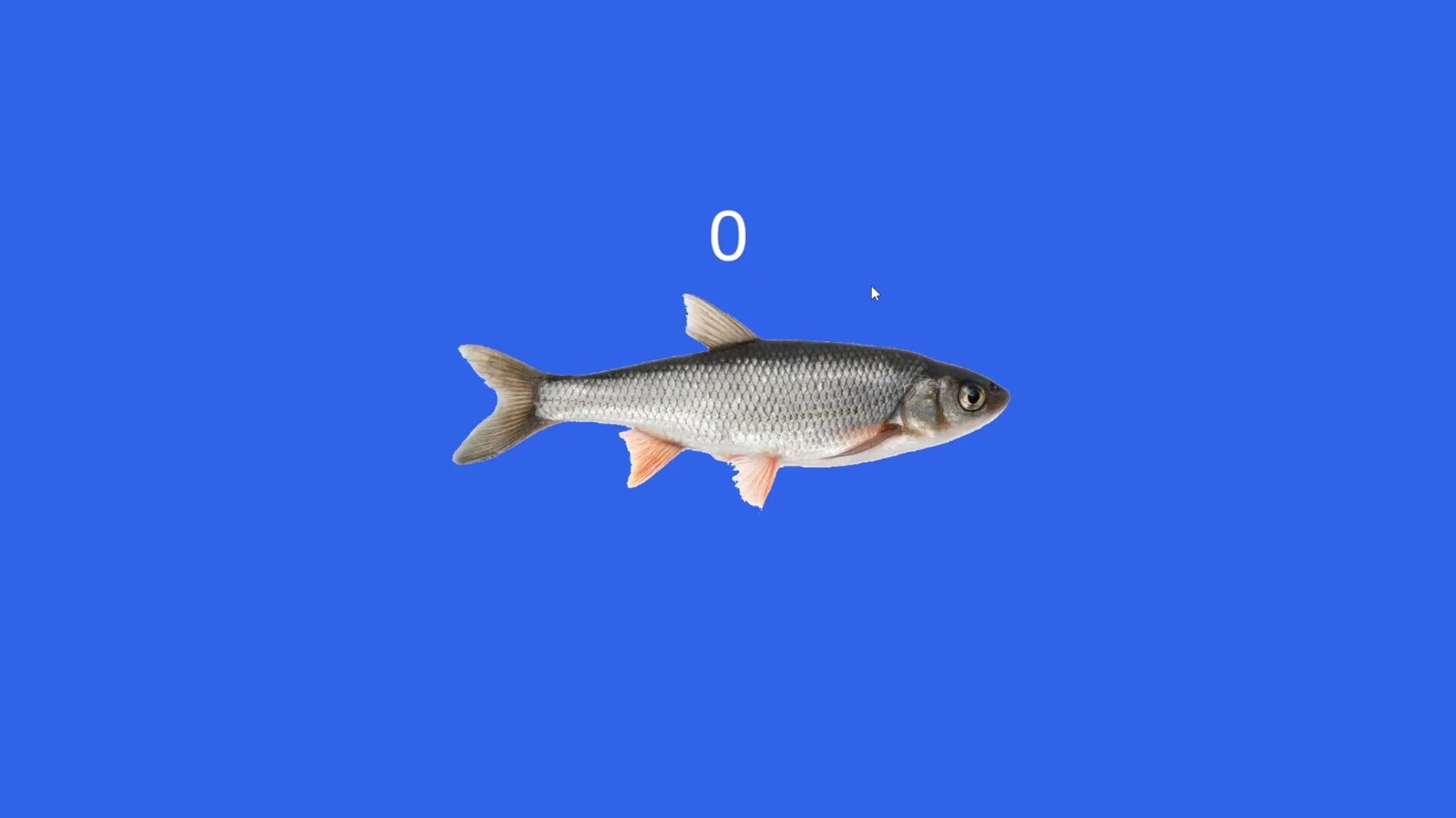 Изображение игры: Fish