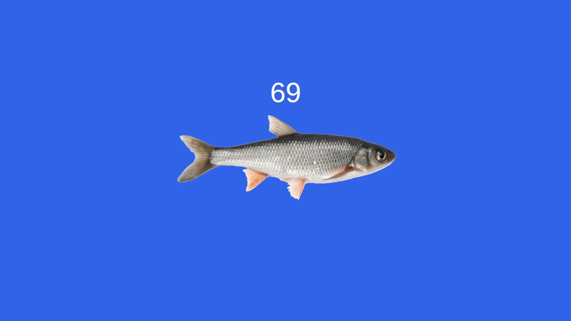 Изображение игры: Fish