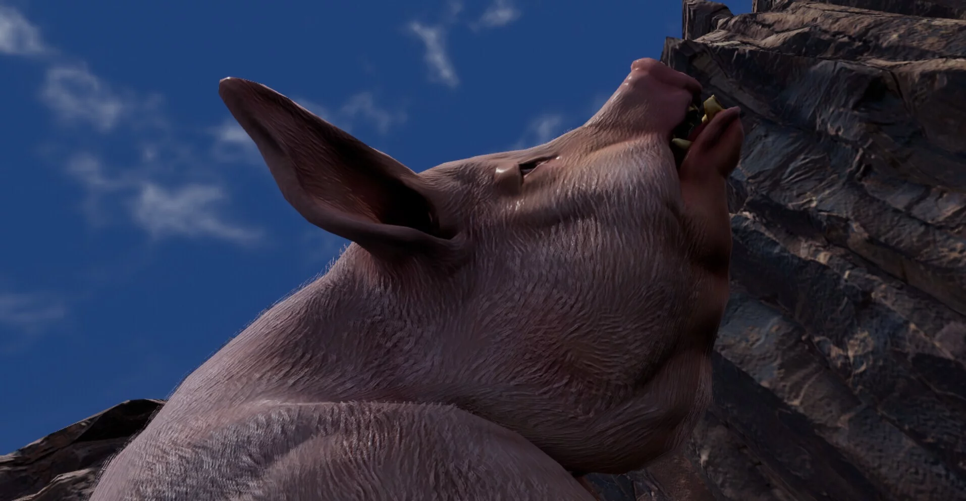 Изображение игры: Big Pig