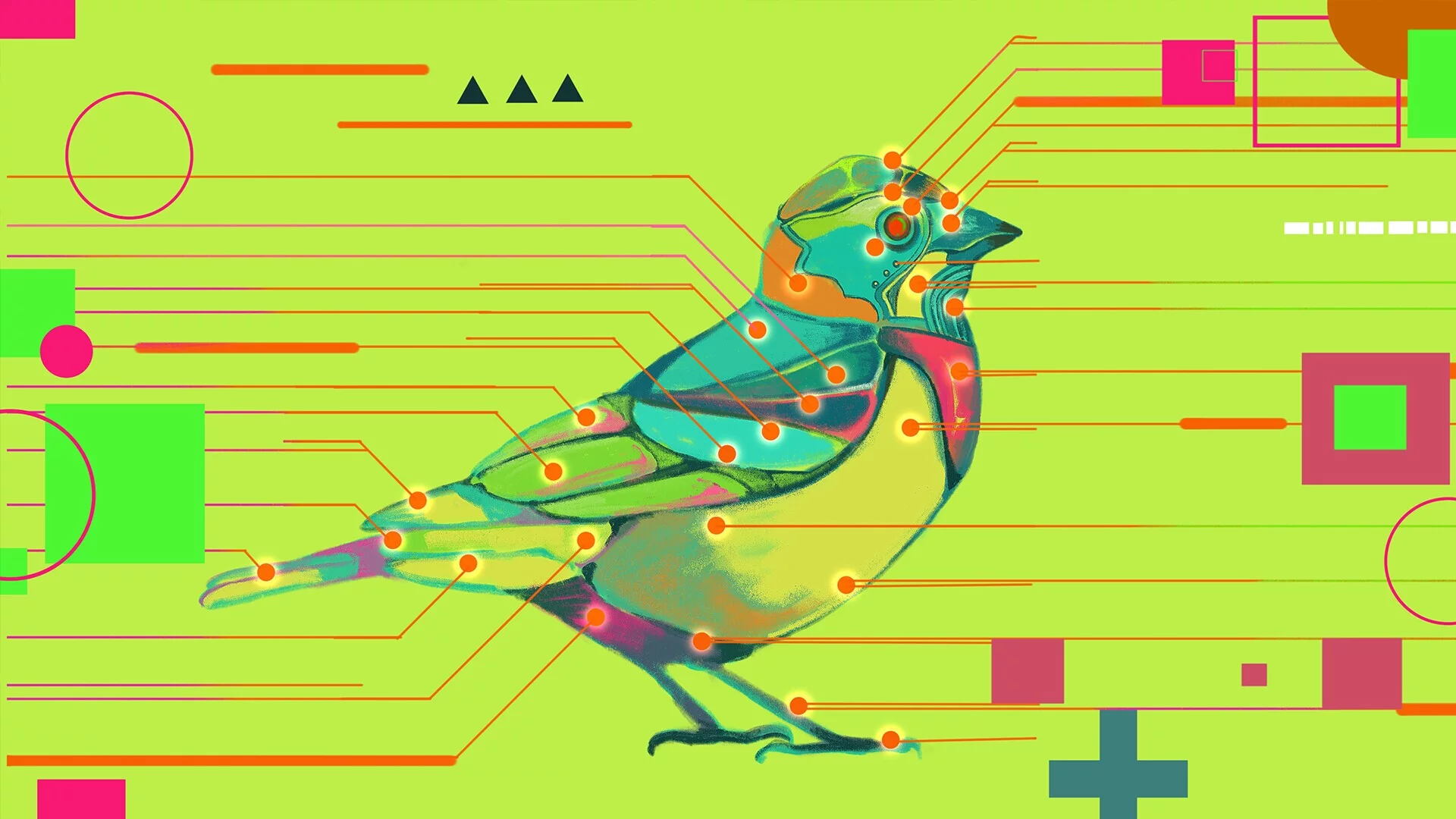 Изображение игры: Avian Enigma