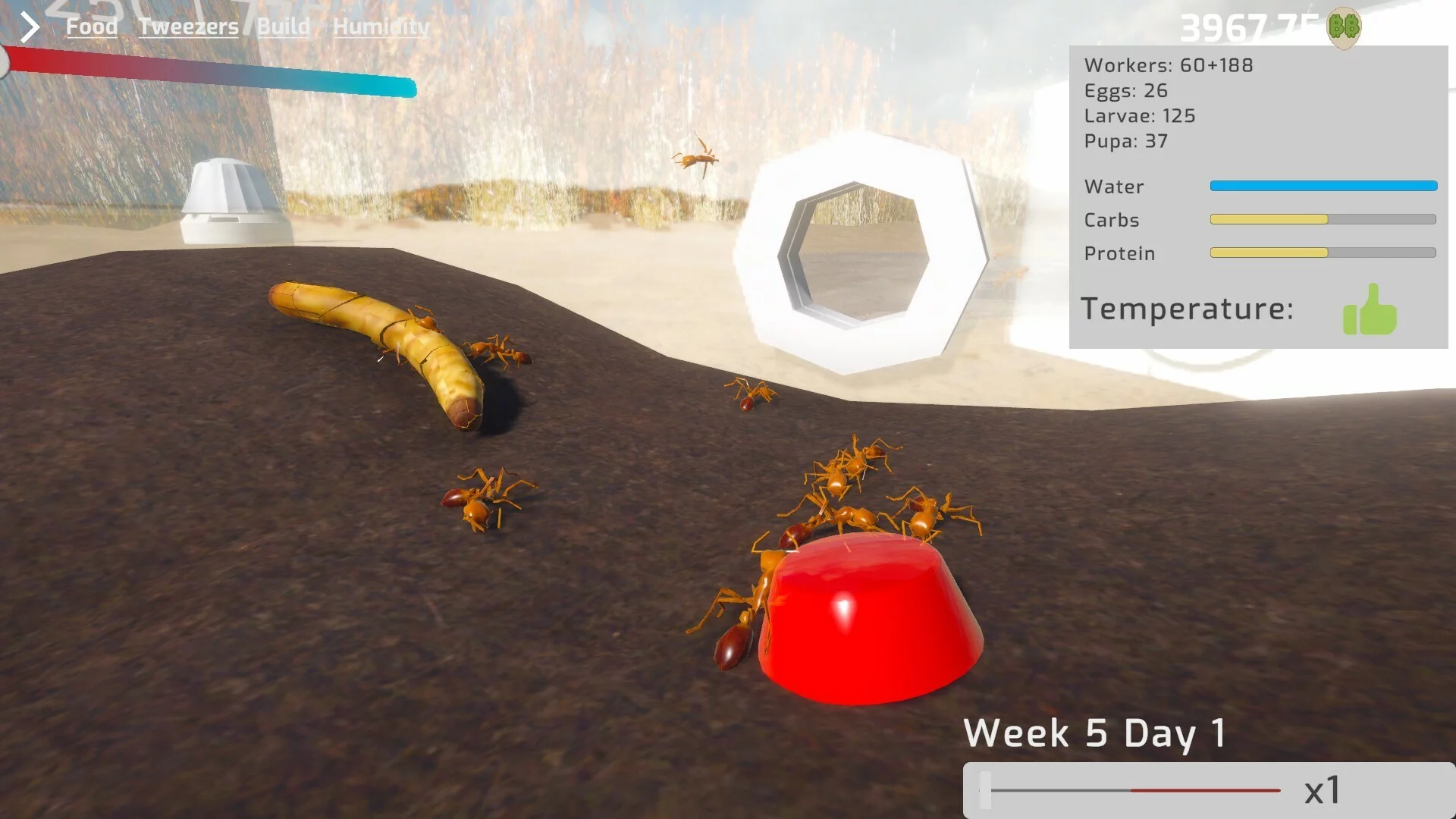 Изображение игры: Ant Keeping Simulator