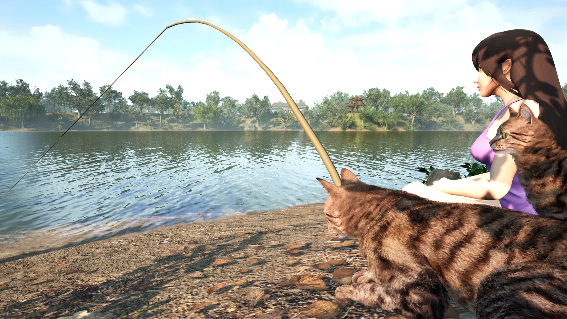 Изображение игры: Fishing for cats