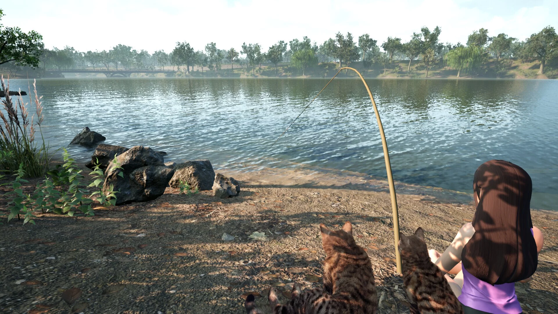 Изображение игры: Fishing for cats