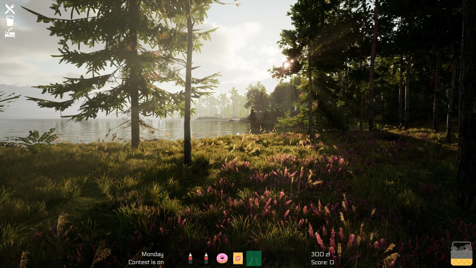 Изображение игры: Mushroom Season