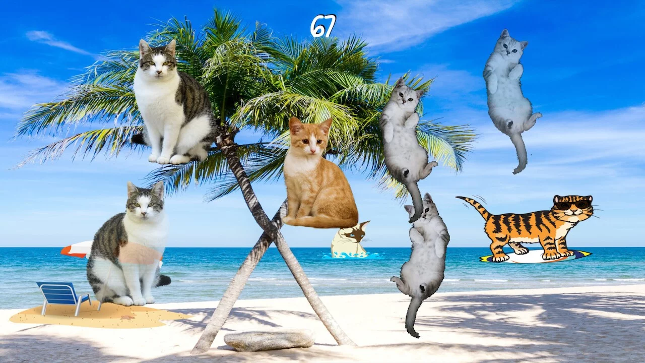 Изображение игры: Cat Clicker