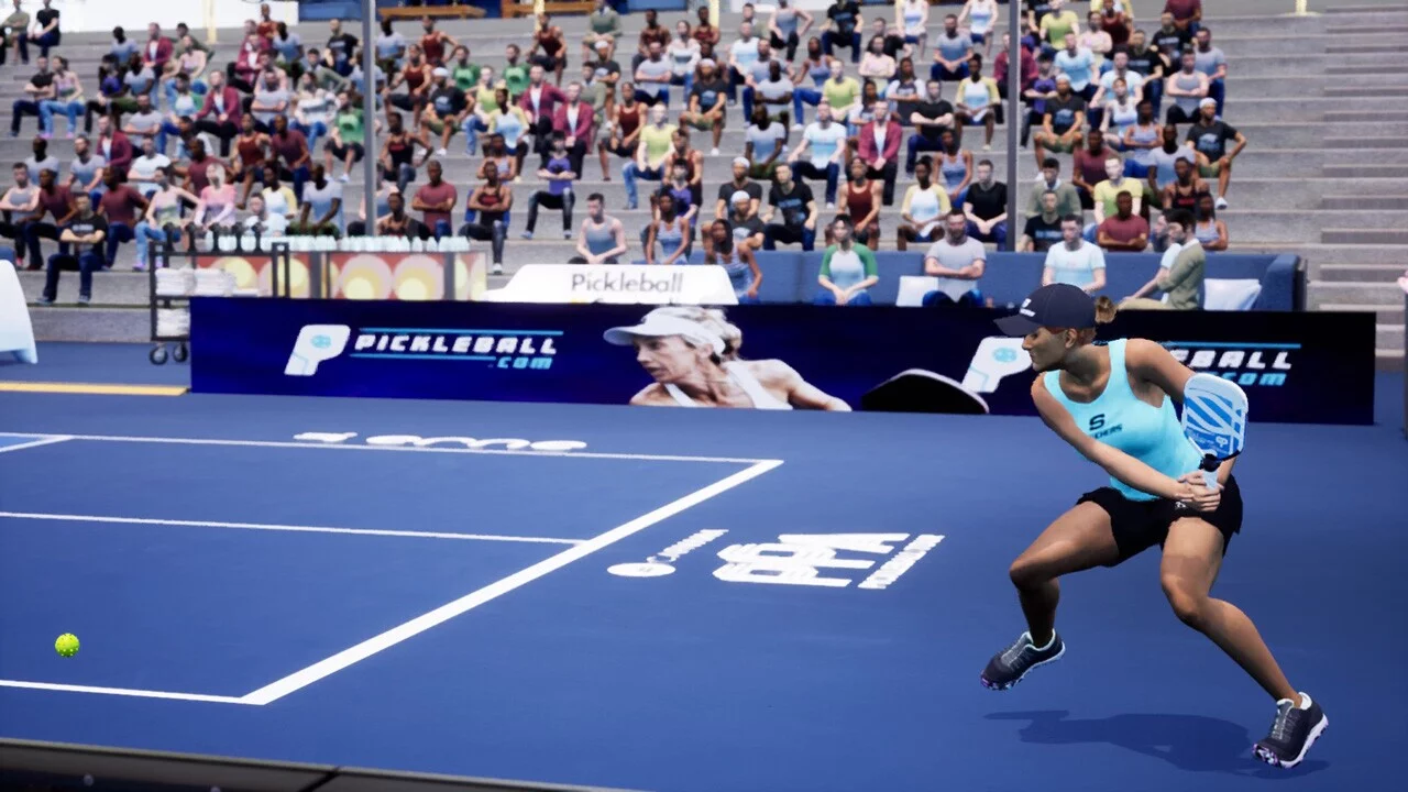 Изображение игры: PPA Pickleball Tour 2025