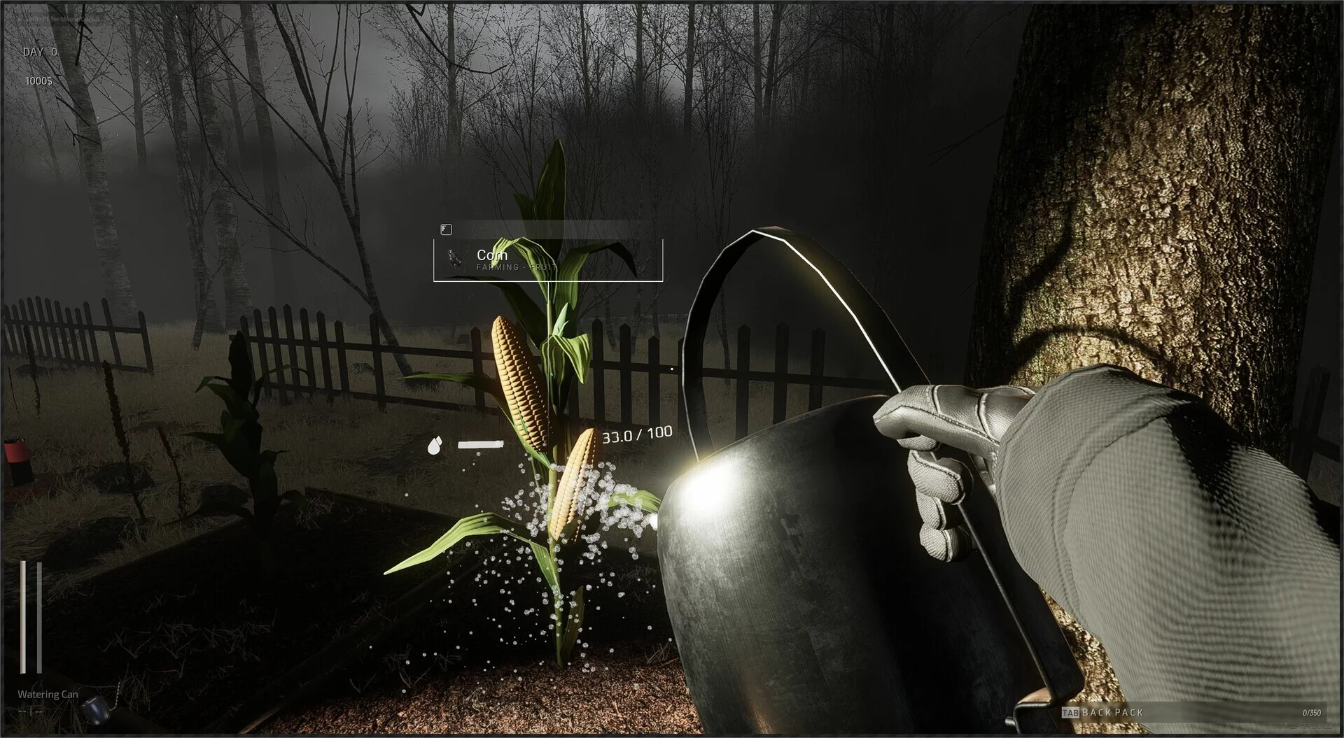 Изображение игры: Descending The Woods
