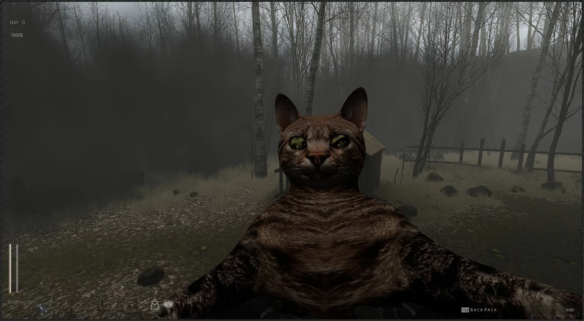 Изображение игры: Descending The Woods
