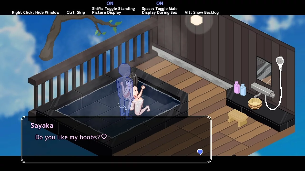 Изображение игры: Secret Hot Springs Girl