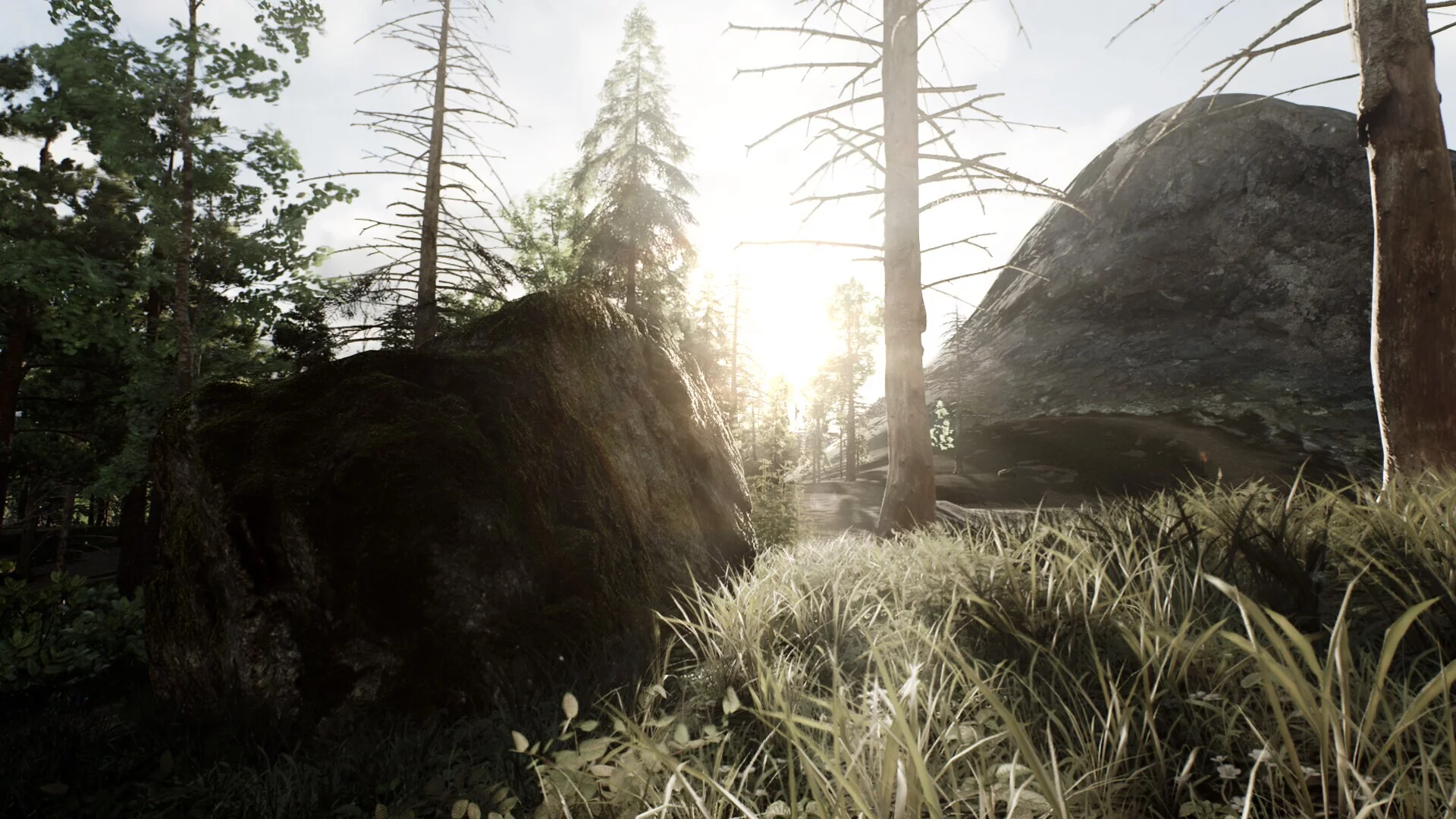 Изображение игры: Skye: The Misty Isle