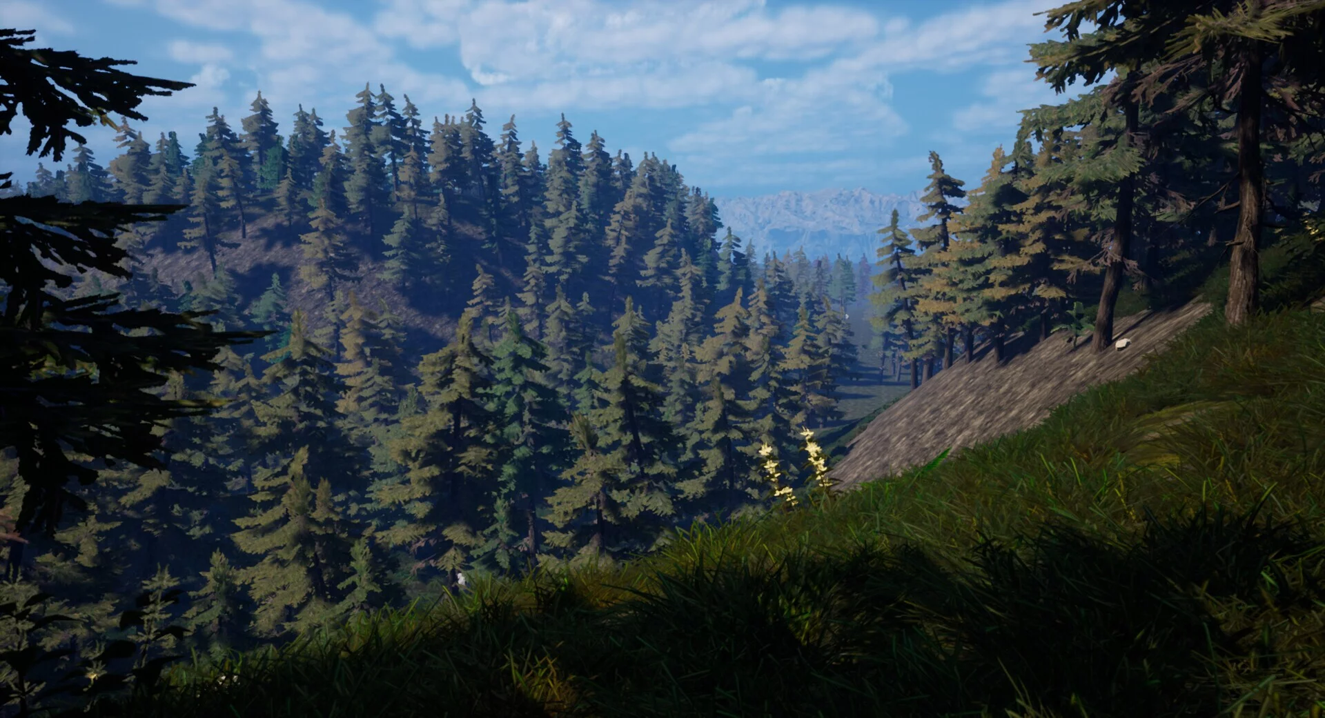 Изображение игры: Forest Of Fear