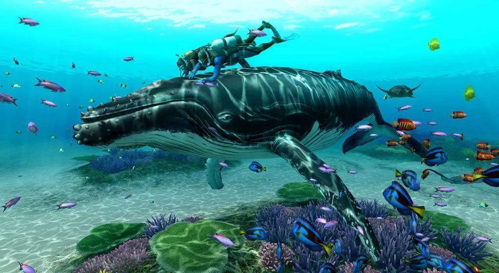 Изображение игры: Endless Ocean: Blue World