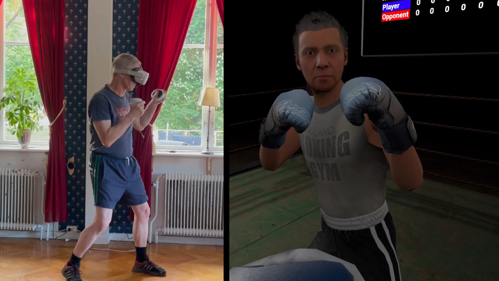 Изображение игры: True Boxing VR