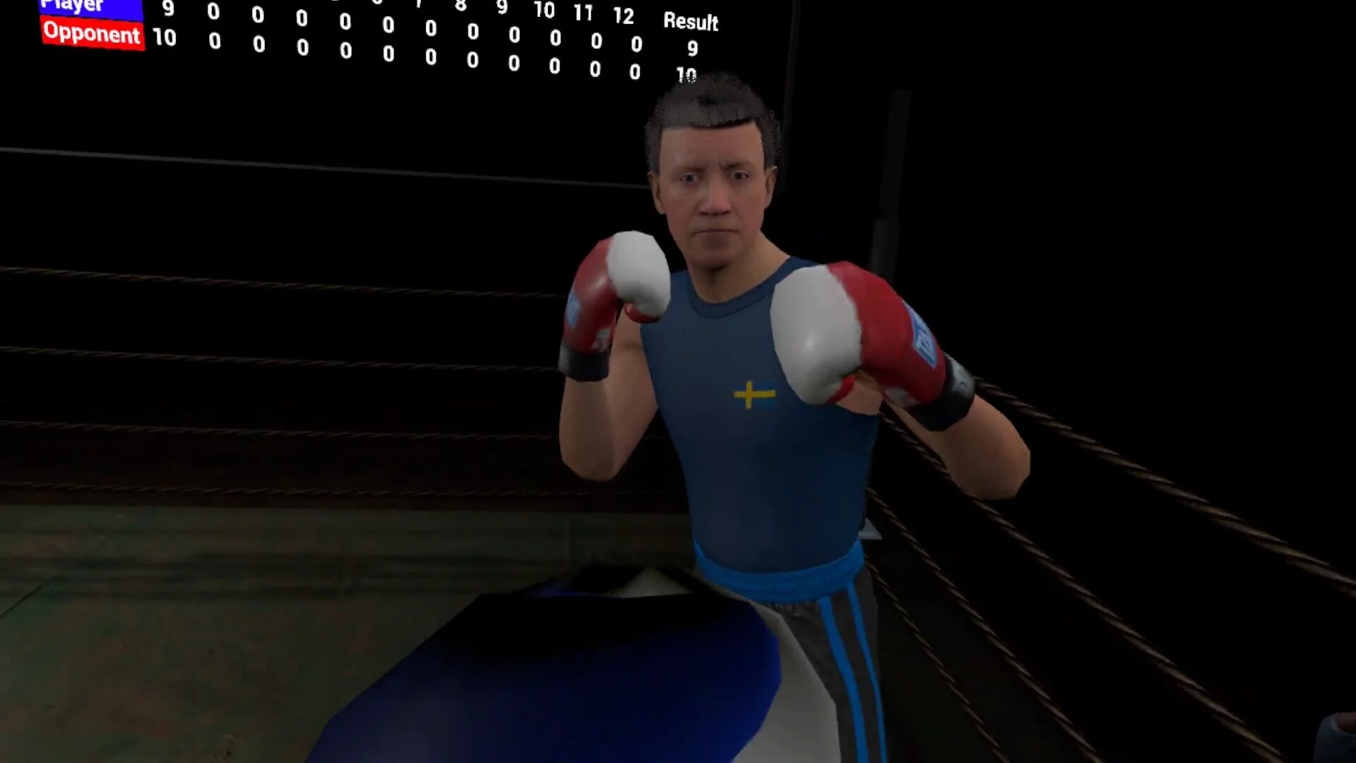 Изображение игры: True Boxing VR