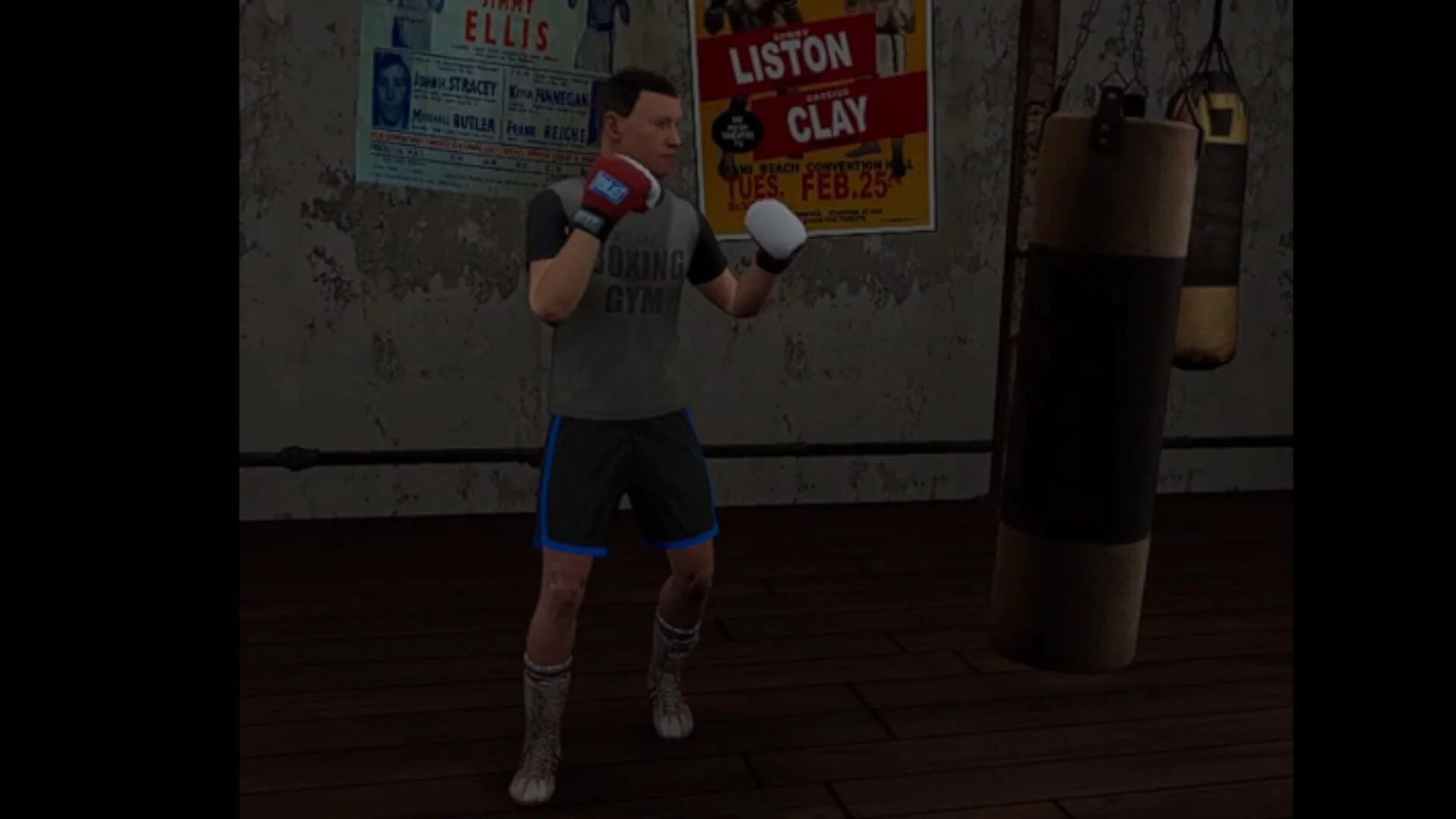Изображение игры: True Boxing VR