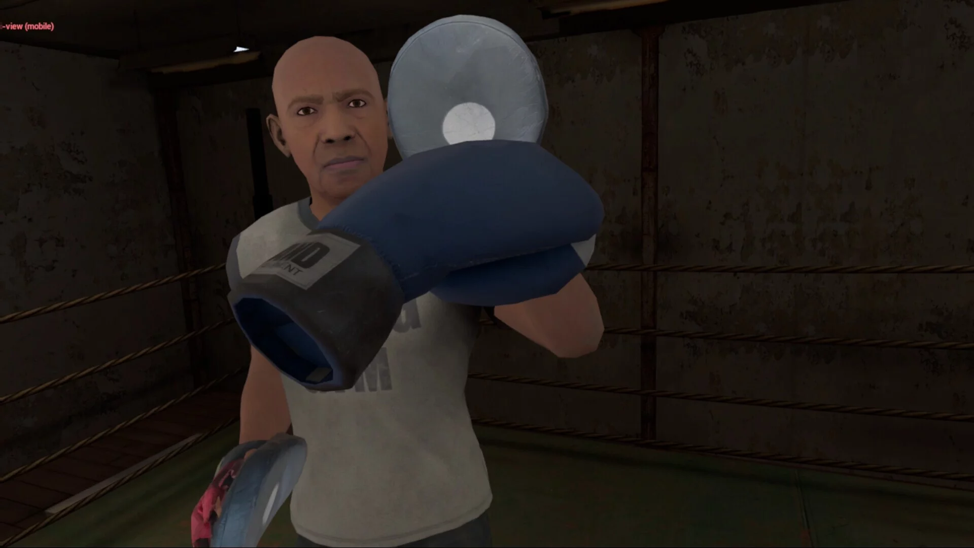 Изображение игры: True Boxing VR