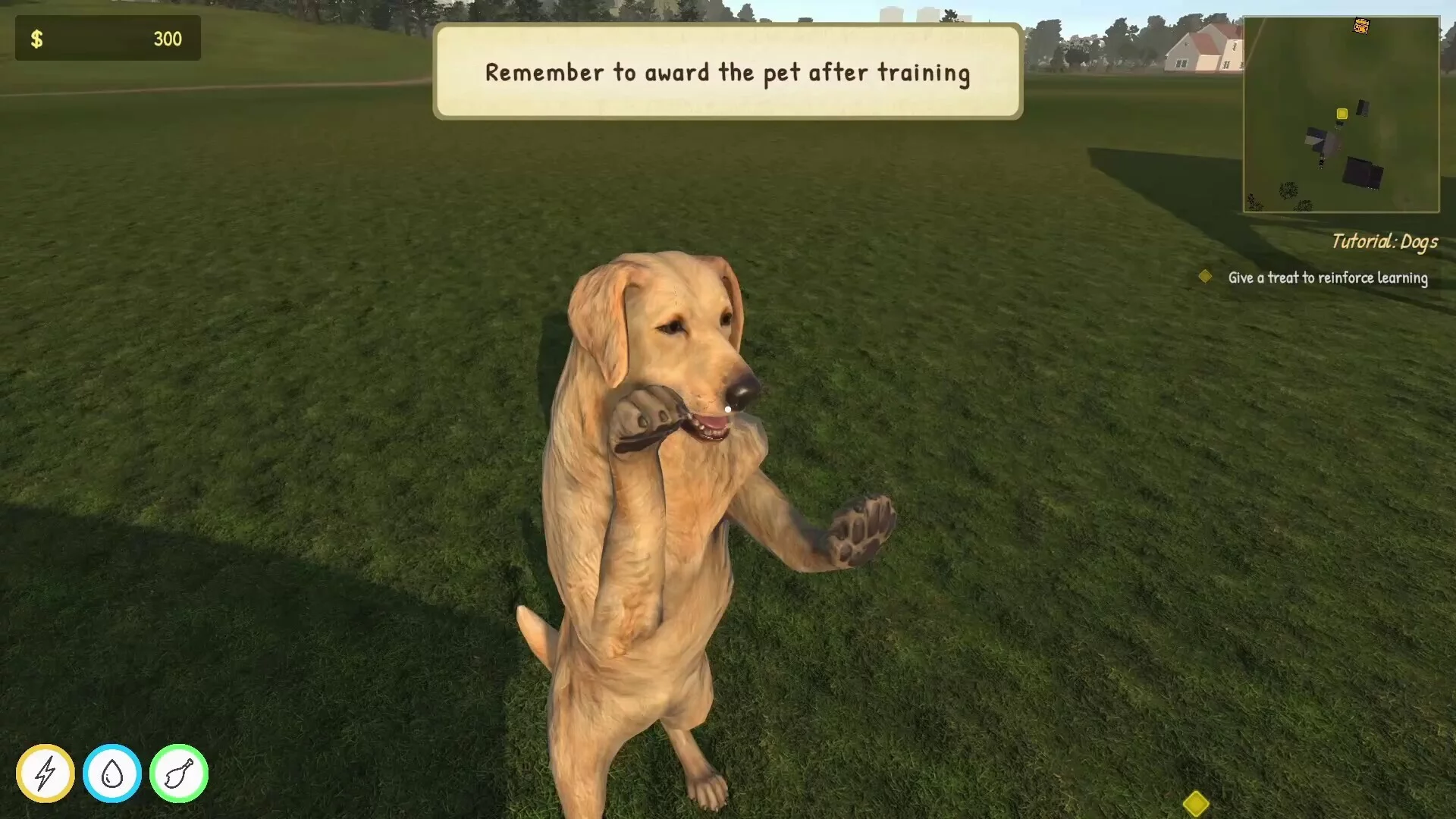Изображение игры: Animal Trainer Simulator: Prologue