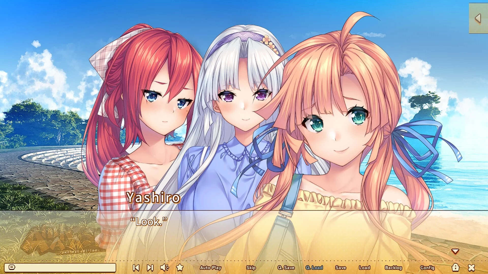 Изображение игры: AMANATSU ~Perfect Edition~