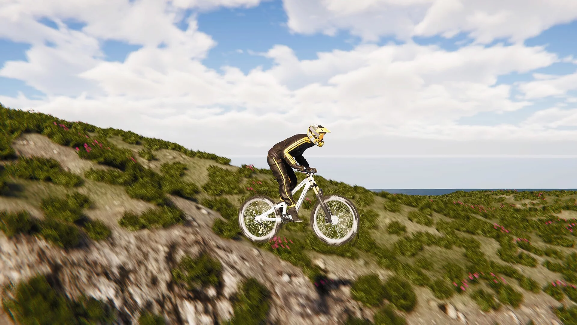 Изображение игры: BMX Wild Run
