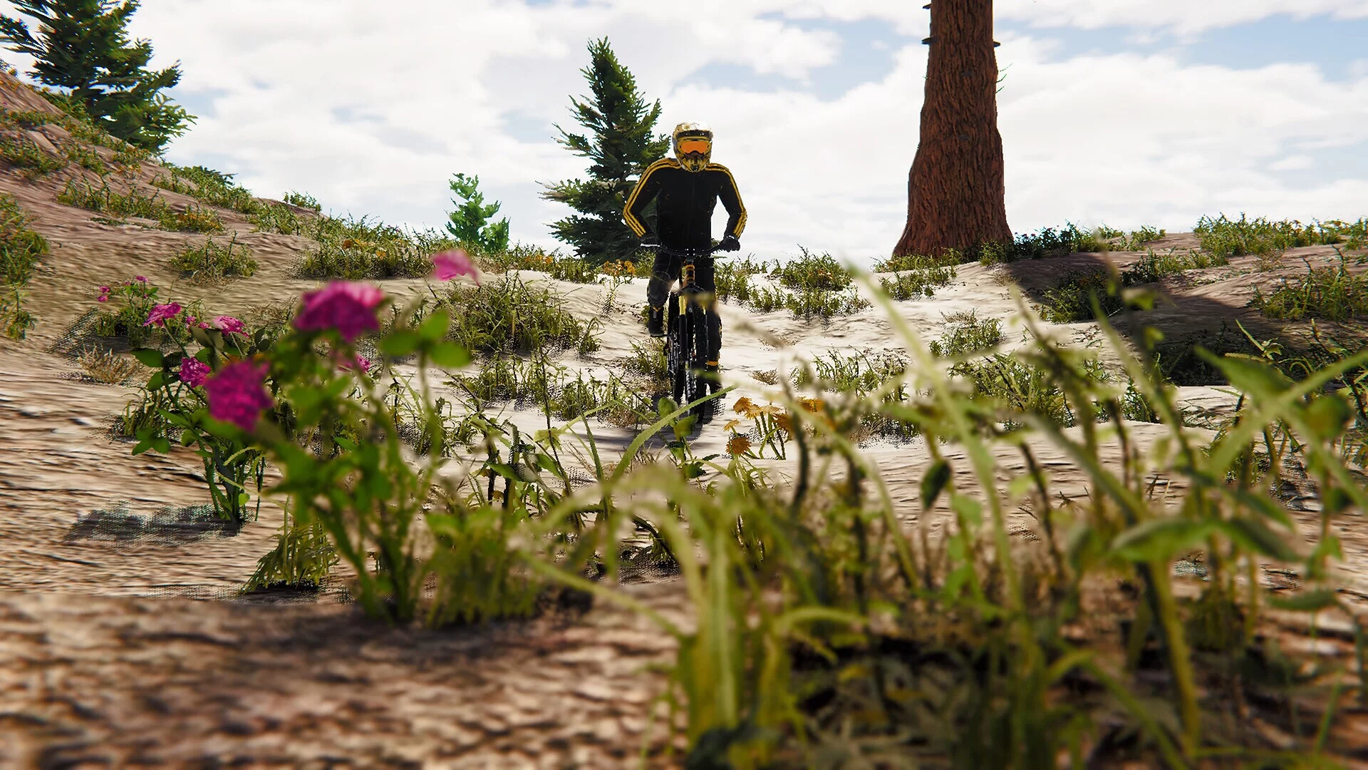 Изображение игры: BMX Wild Run