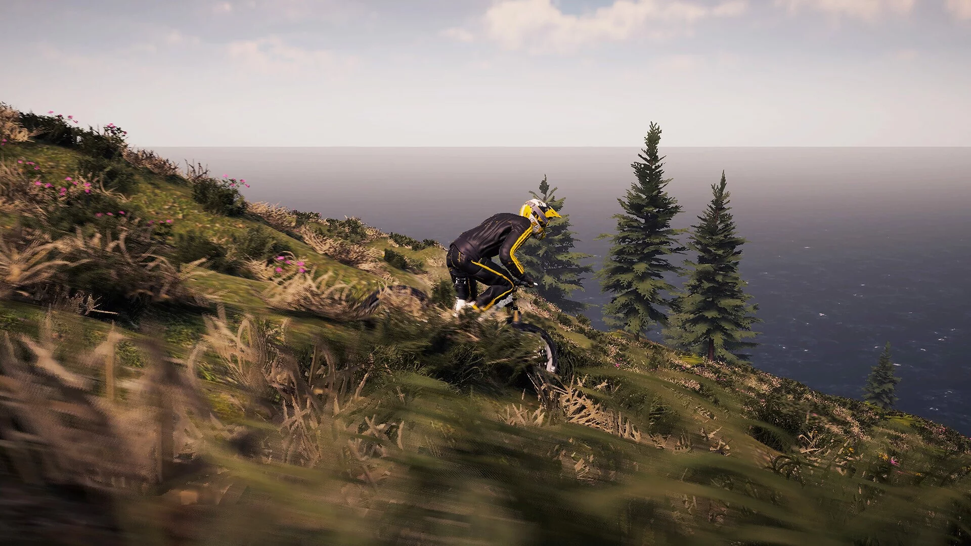 Изображение игры: BMX Wild Run