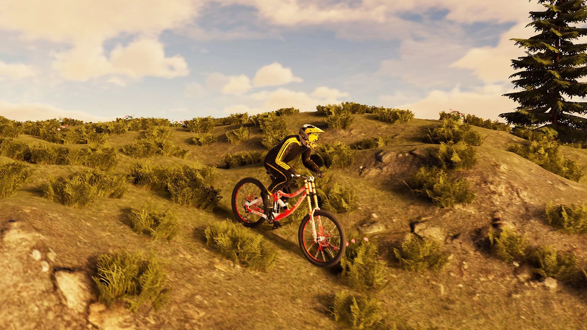 Изображение игры: BMX Wild Run